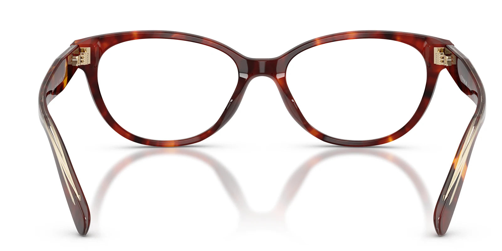 COACH HC6293-Tortoise