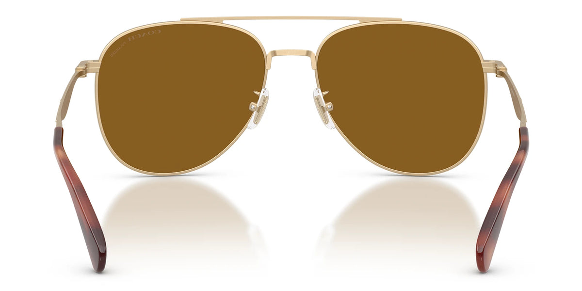 COACH HC7190-Gold / brown polarized