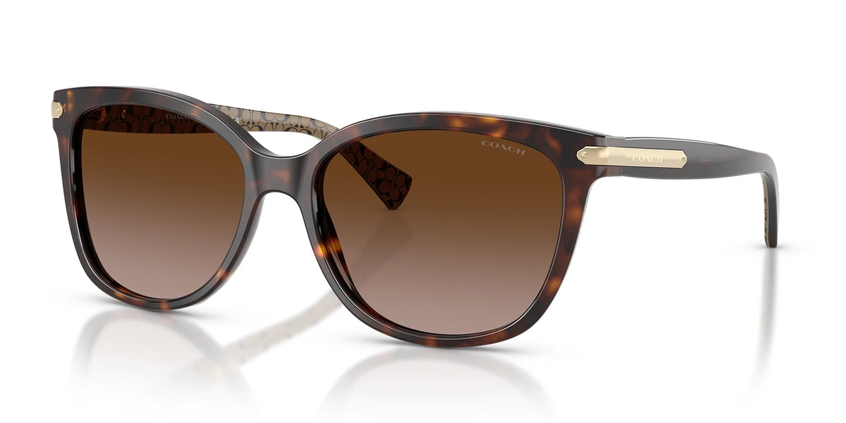 COACH HC8132-Tortoise / Brown Gradient