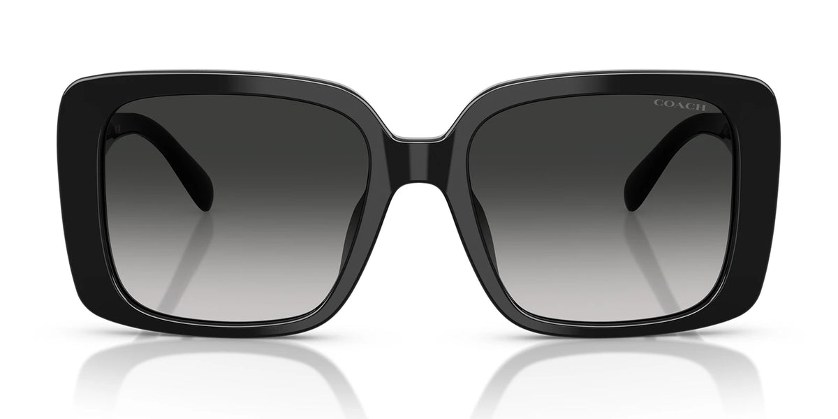 COACH HC8424-Black With Grey Gradient