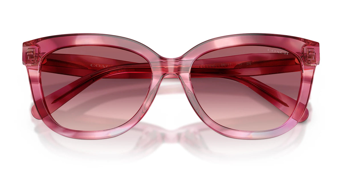 COACH HC8453-Purple Tortoise / Pink Gradient