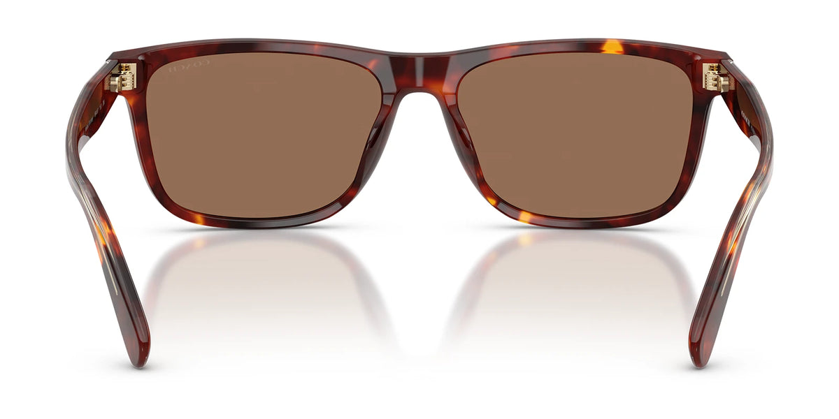 COACH HC8454-Tortoise With Brown Lenses