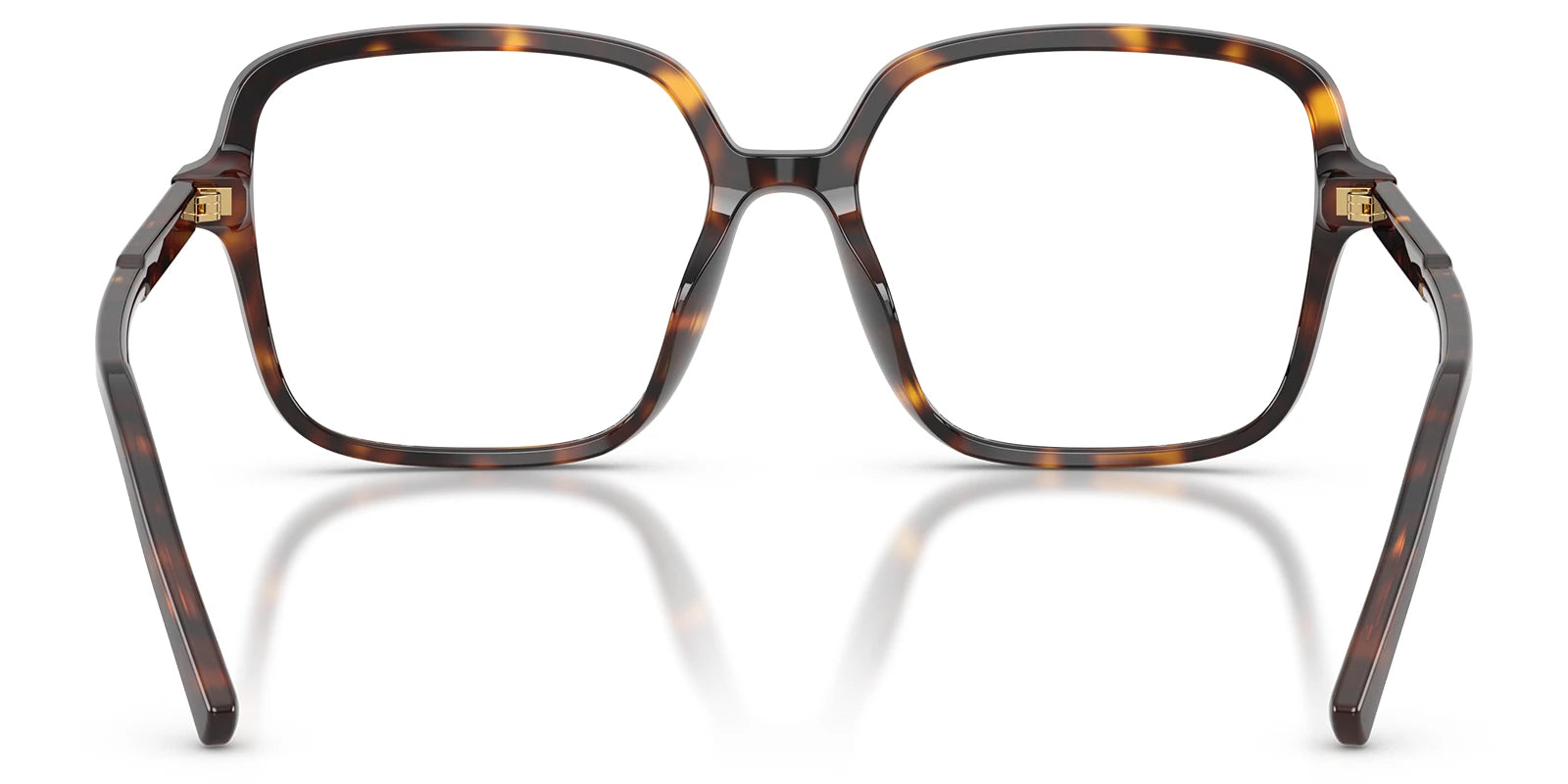 Dolce & Gabbana DG3442-Tortoise