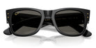 RayBan RB0840-Black