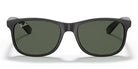 RayBan RB4202-Black
