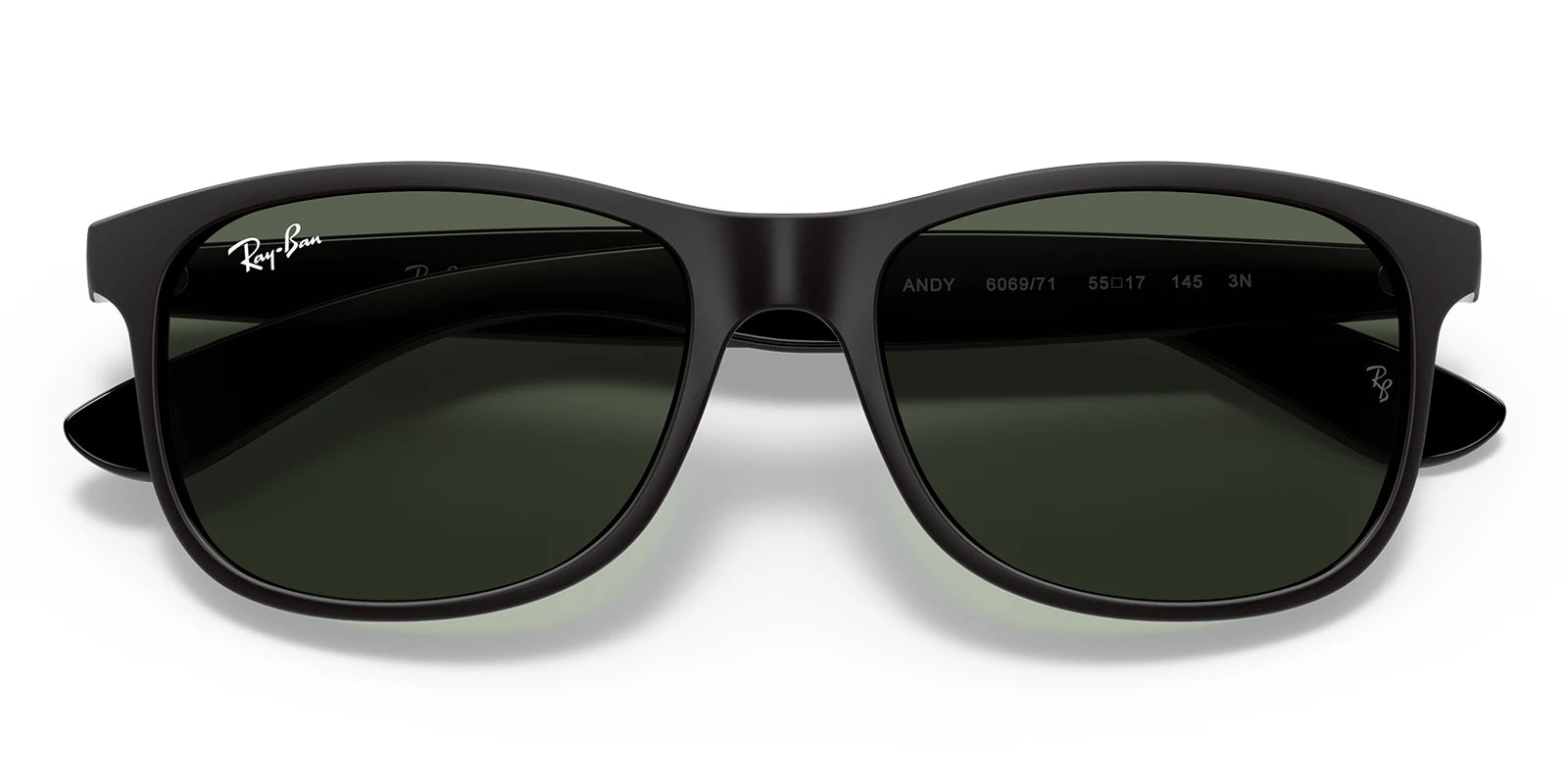 RayBan RB4202-Black