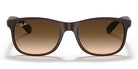 RayBan RB4202-Brown