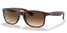 RayBan RB4202-Brown