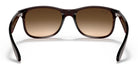 RayBan RB4202-Brown