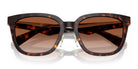 Burberry BE4446-Tortoise / Brown Gradient