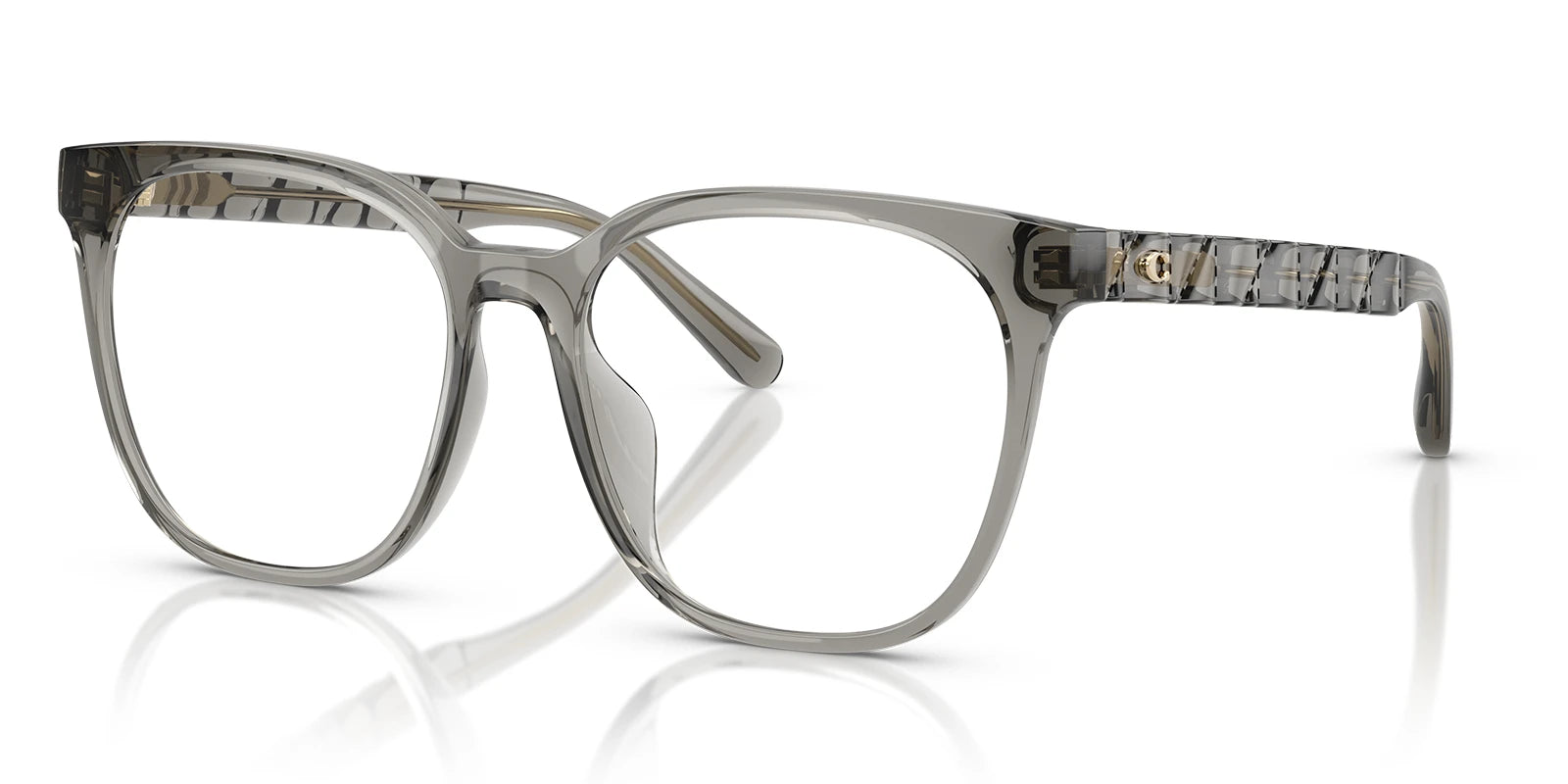 COACH HC6267-Grey