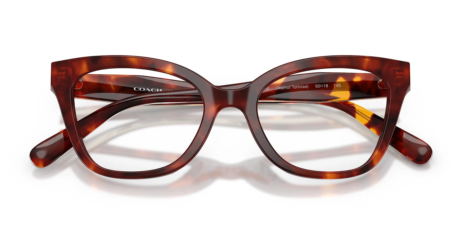 COACH HC6290-Tortoise