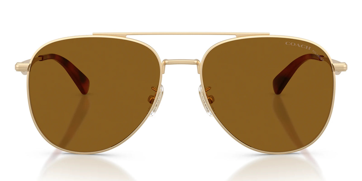 COACH HC7190-Gold / brown polarized