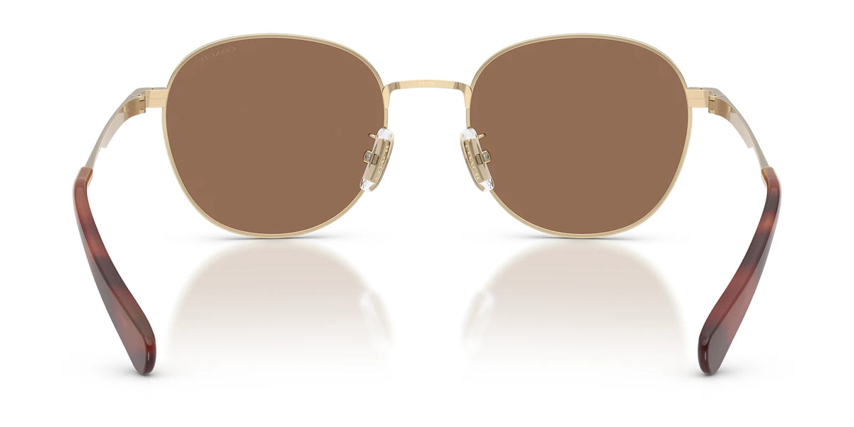 COACH HC7191-Gold With Brown Lenses