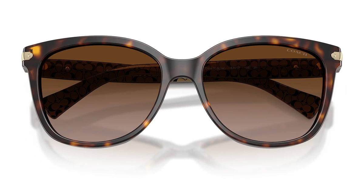 COACH HC8132-Tortoise / Brown Gradient