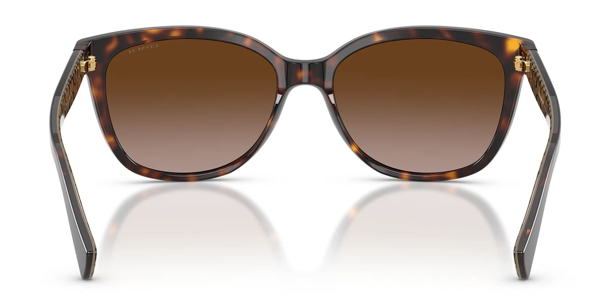 COACH HC8132-Tortoise / Brown Gradient