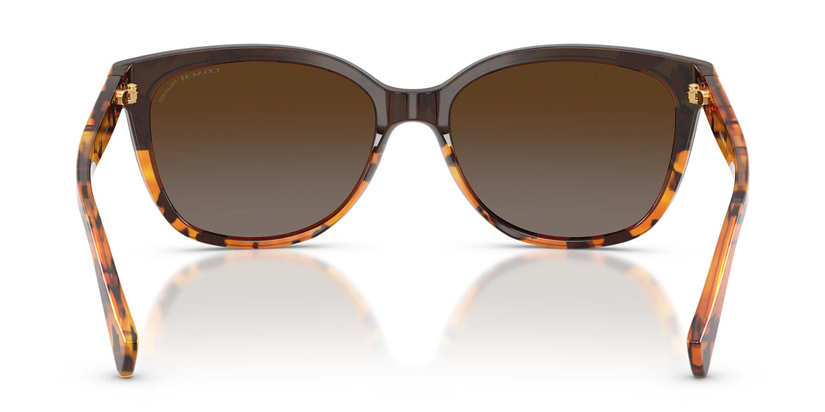 COACH HC8132-Tortoise / Brown Polarized