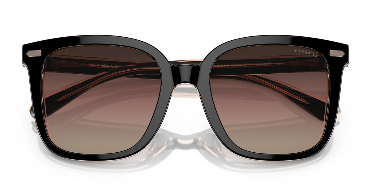 COACH HC8381-Black / Violet