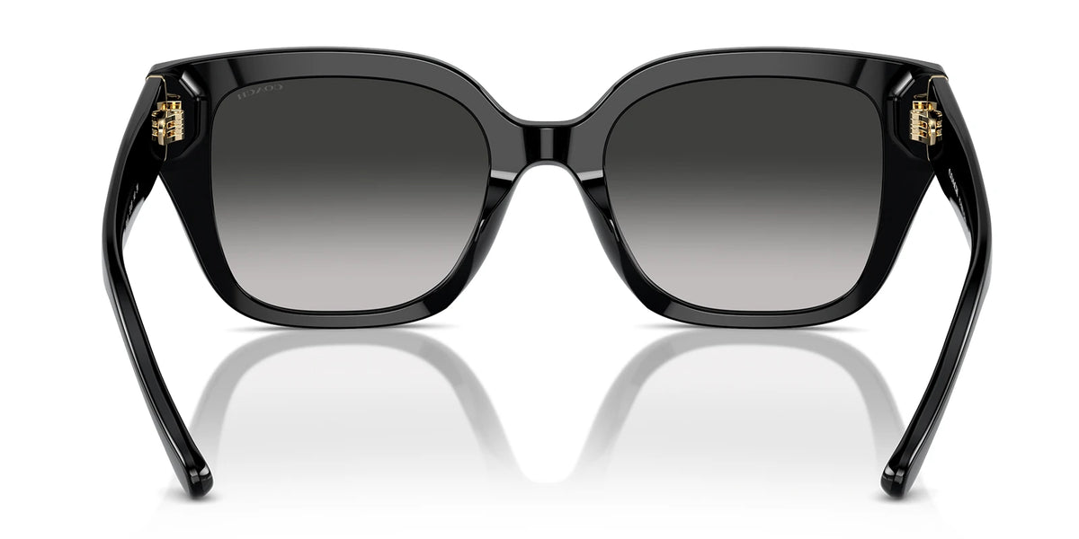COACH HC8392-Black With Grey Gradient