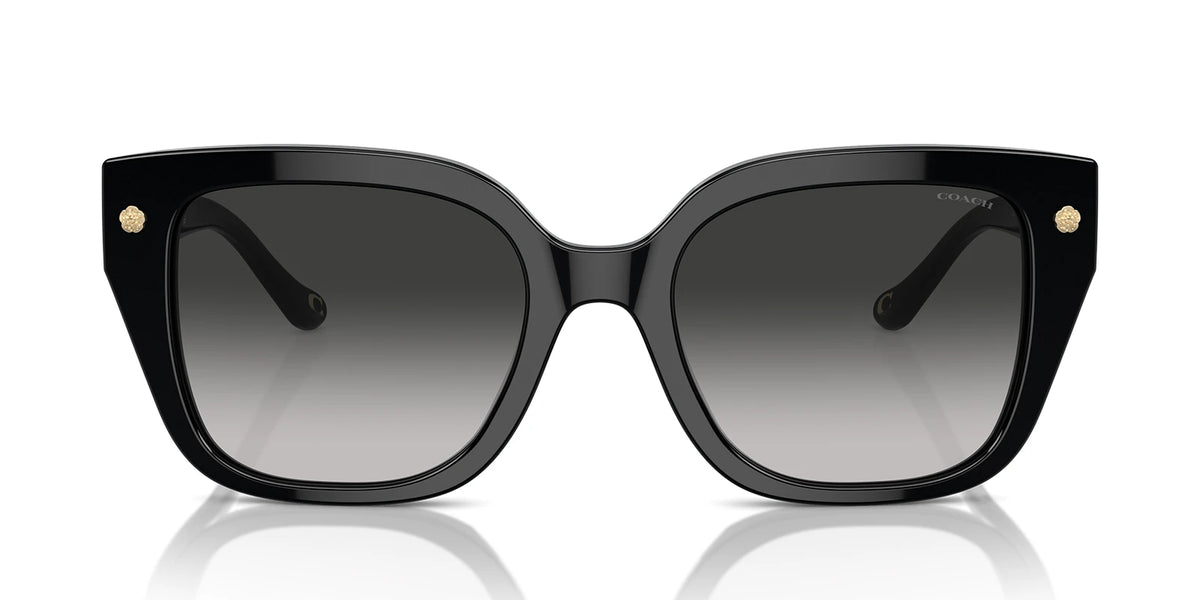 COACH HC8392-Black With Grey Gradient