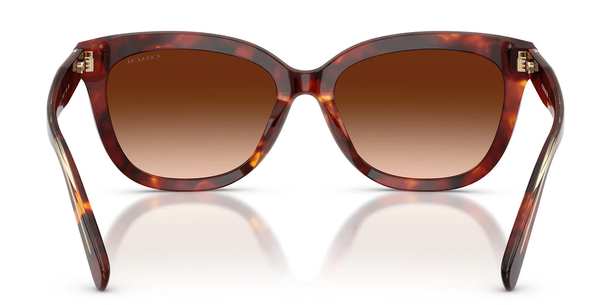 COACH HC8453-Tortoise / Brown Gradient
