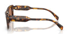 Miu Miu MUB12-Tortoise With Brown Lenses