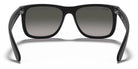 RayBan RB4165-Black With Grey Lenses