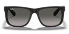 RayBan RB4165-Black With Grey Lenses