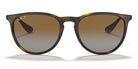 RayBan RB4171-Tortoise / Brown Polarized