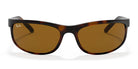 RayBan RB2027-Tortoiseshell
