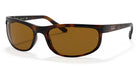 RayBan RB2027-Tortoiseshell