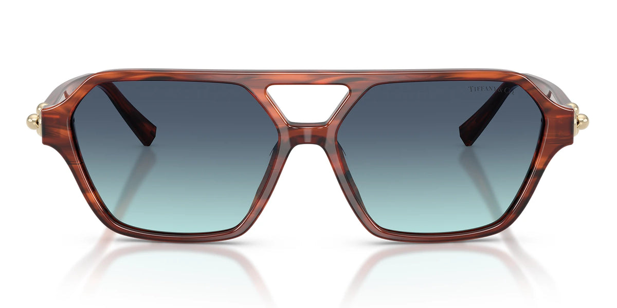 Tiffany TF4264-Tortoise / Gradient Blue