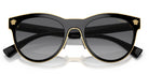 Versace VE2198-Black / Grey Polarized