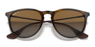 RayBan RB4171-Tortoiseshell